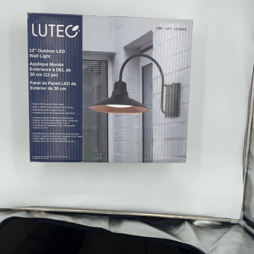 Lutec 12" Wall Light